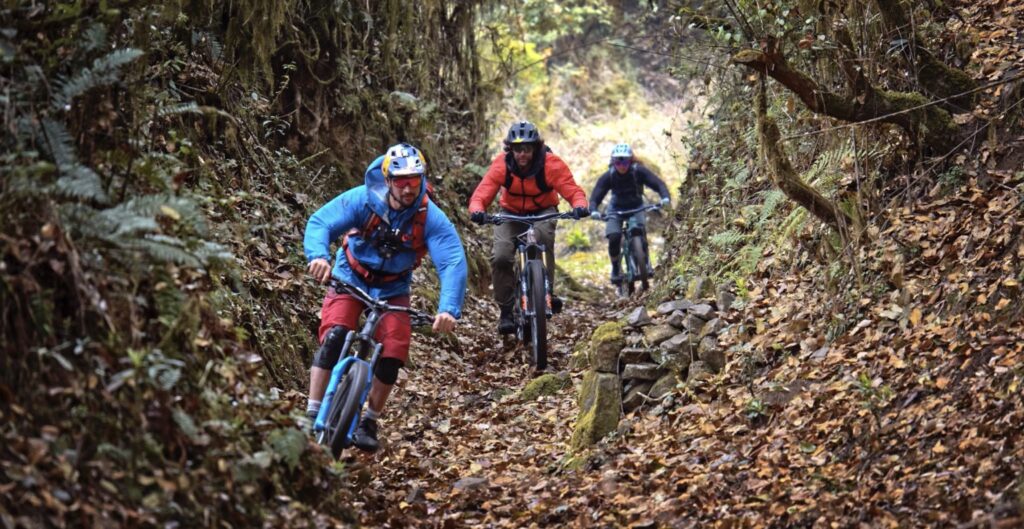 Riders drop through a pine-forest chute